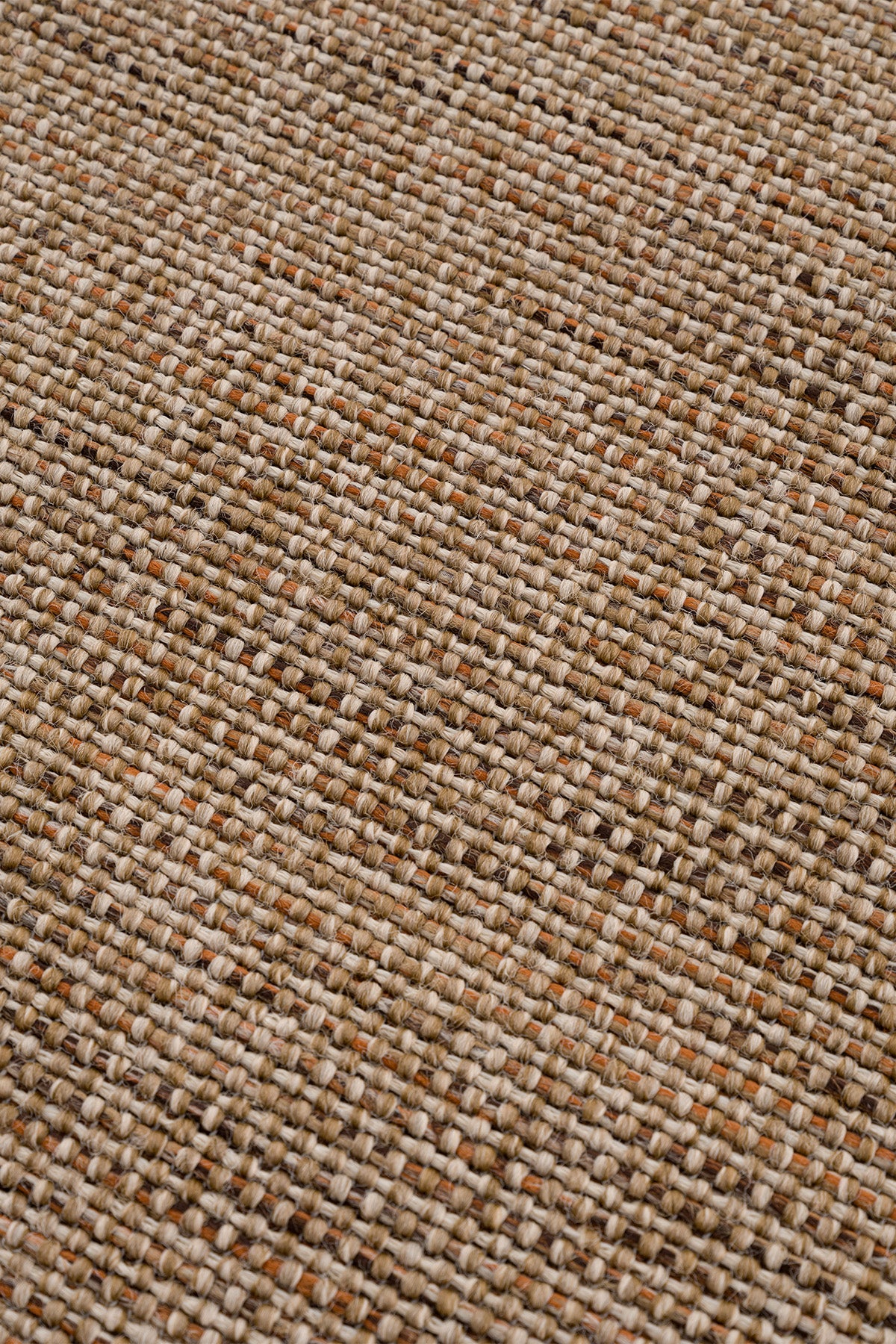 Calvin Klein Signature Bordure B3622E  Vizon Turuncu Halı