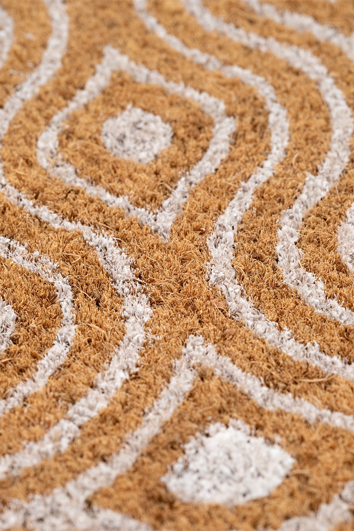 Coco Çerçeveli Kıl Kapı Önü Paspası 40x60 3682