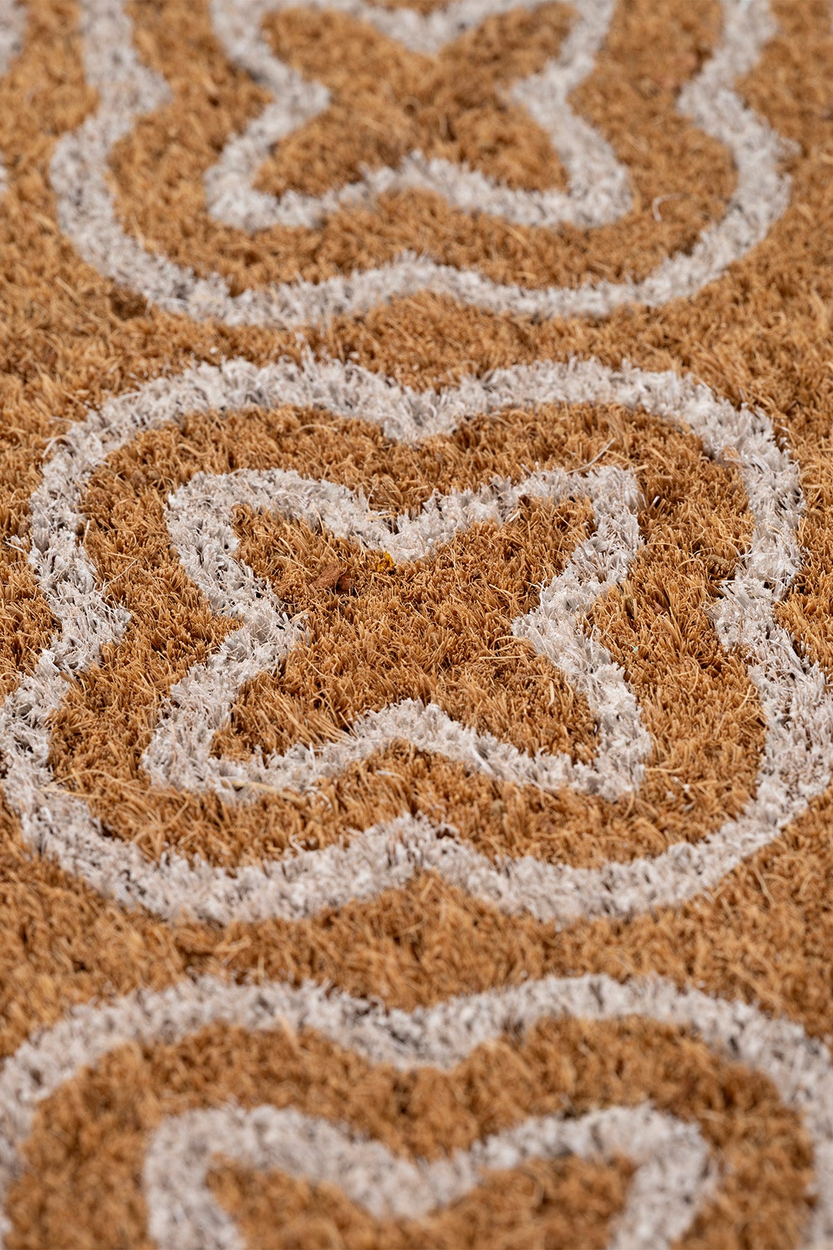 Coco Desenli Kıl Kapı Önü Paspası 40x60 3683