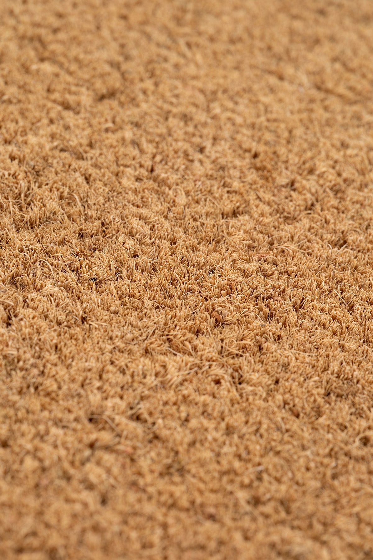 Coco Düz Kıl Kapı Önü Paspası 40x60 3684